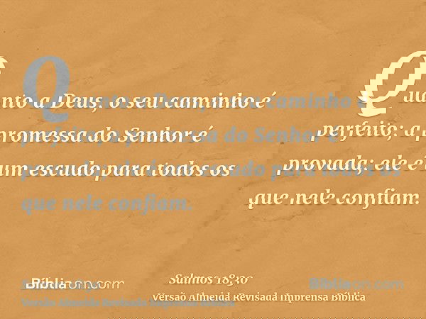 Quanto a Deus, o seu caminho é perfeito; a promessa do Senhor é provada; ele é um escudo para todos os que nele confiam.