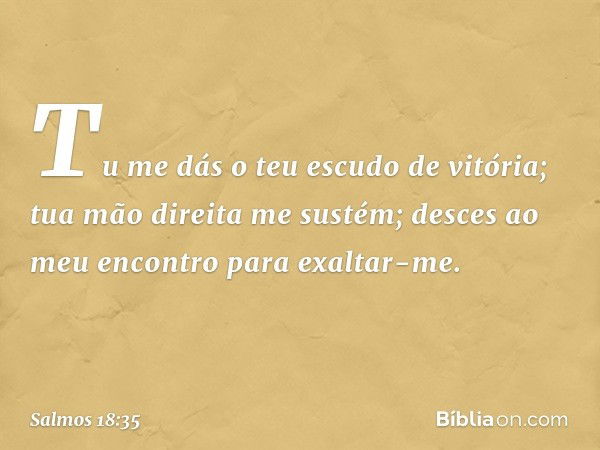 Tu me dás o teu escudo de vitória;
tua mão direita me sustém;
desces ao meu encontro para exaltar-me. -- Salmo 18:35