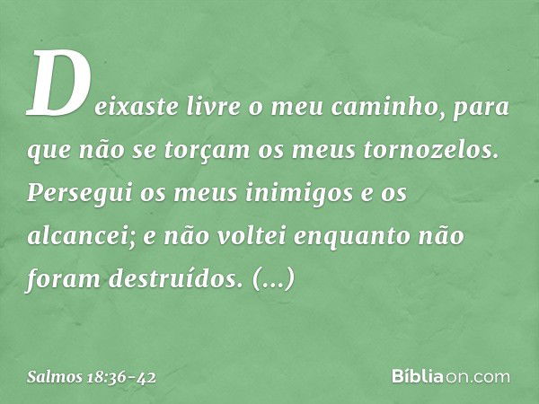 Deixaste livre o meu caminho,
para que não se torçam os meus tornozelos. Persegui os meus inimigos e os alcancei;
e não voltei enquanto não foram destruídos. Ma