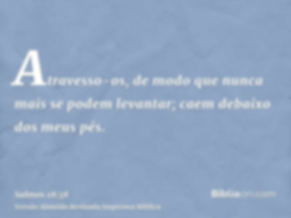 Atravesso-os, de modo que nunca mais se podem levantar; caem debaixo dos meus pés.