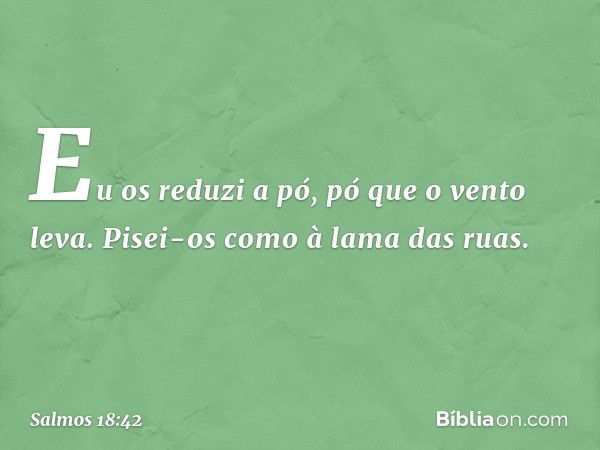 Eu os reduzi a pó, pó que o vento leva.
Pisei-os como à lama das ruas. -- Salmo 18:42