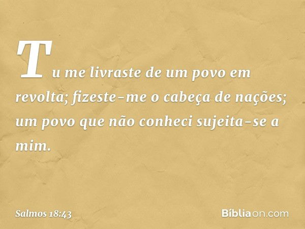 Tu me livraste de um povo em revolta;
fizeste-me o cabeça de nações;
um povo que não conheci sujeita-se a mim. -- Salmo 18:43