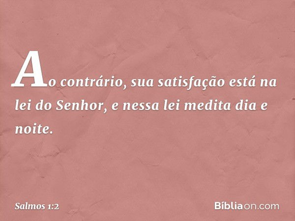 Ao contrário, sua satisfação
está na lei do Senhor,
e nessa lei medita dia e noite. -- Salmo 1:2