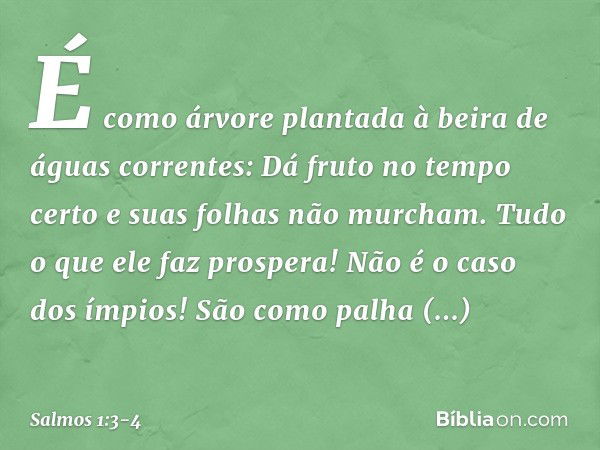 É como árvore plantada
à beira de águas correntes:
Dá fruto no tempo certo
e suas folhas não murcham.
Tudo o que ele faz prospera! Não é o caso dos ímpios!
São 