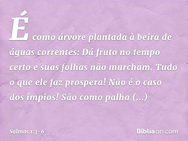 É como árvore plantada
à beira de águas correntes:
Dá fruto no tempo certo
e suas folhas não murcham.
Tudo o que ele faz prospera! Não é o caso dos ímpios!
São 