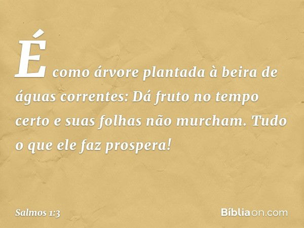 É como árvore plantada
à beira de águas correntes:
Dá fruto no tempo certo
e suas folhas não murcham.
Tudo o que ele faz prospera! -- Salmo 1:3