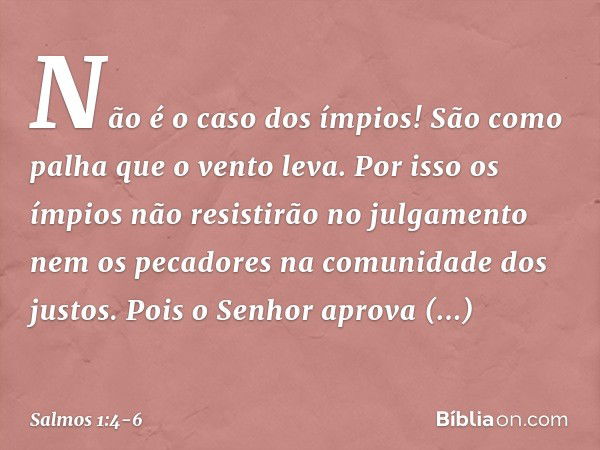 Não é o caso dos ímpios!
São como palha que o vento leva. Por isso os ímpios
não resistirão no julgamento
nem os pecadores na comunidade dos justos. Pois o Senh