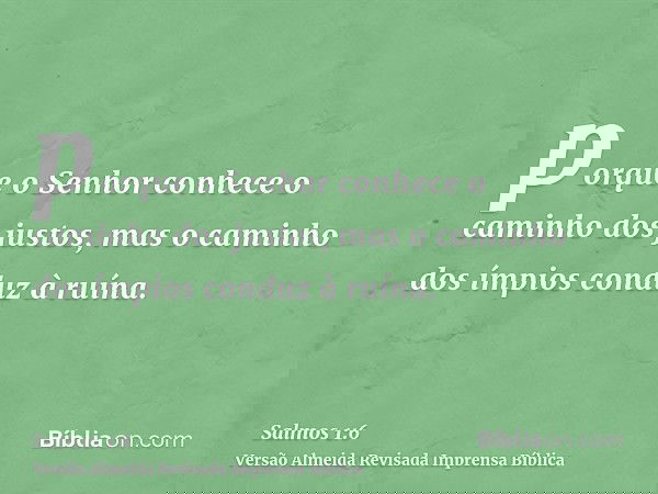 porque o Senhor conhece o caminho dos justos, mas o caminho dos ímpios conduz à ruína.