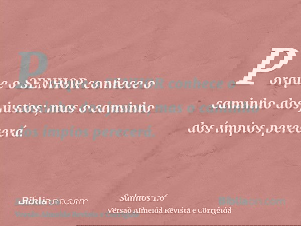 Porque o SENHOR conhece o caminho dos justos; mas o caminho dos ímpios perecerá.