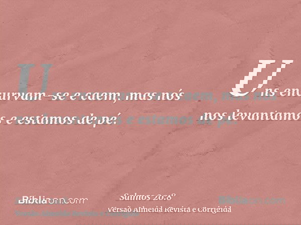 Uns encurvam-se e caem, mas nós nos levantamos e estamos de pé.