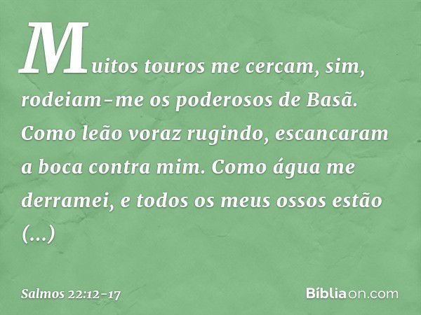 Muitos touros me cercam,
sim, rodeiam-me os poderosos de Basã. Como leão voraz rugindo,
escancaram a boca contra mim. Como água me derramei,
e todos os meus oss