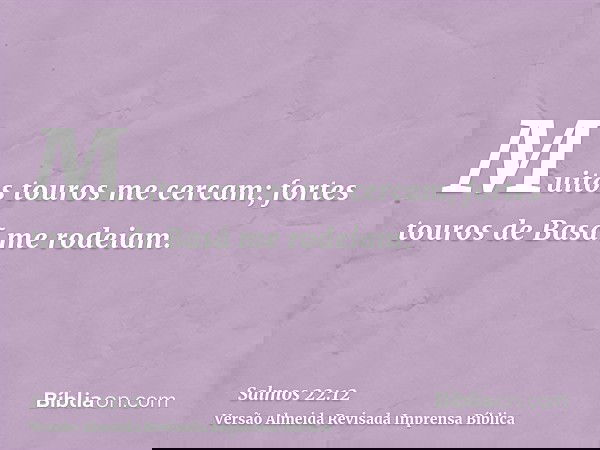 Muitos touros me cercam; fortes touros de Basã me rodeiam.