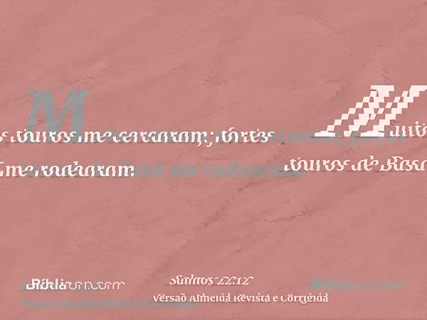 Muitos touros me cercaram; fortes touros de Basã me rodearam.