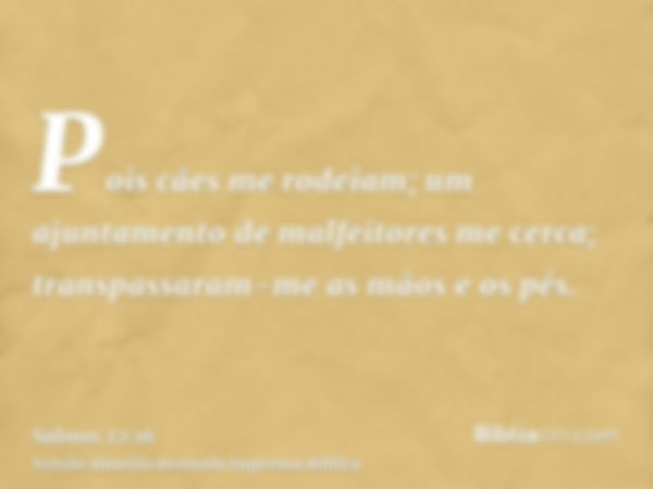 Pois cães me rodeiam; um ajuntamento de malfeitores me cerca; transpassaram-me as mãos e os pés.