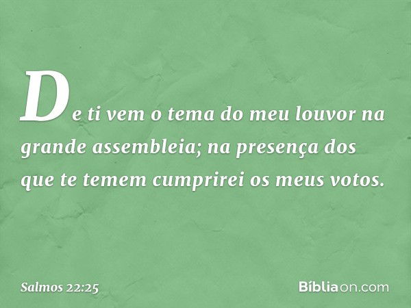 De ti vem o tema do meu louvor
na grande assembleia;
na presença dos que te temem
cumprirei os meus votos. -- Salmo 22:25