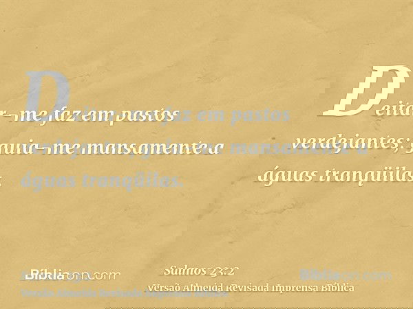 Deitar-me faz em pastos verdejantes; guia-me mansamente a águas tranqüilas.