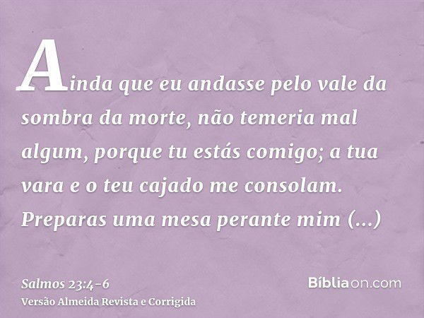 Ainda que eu andasse pelo vale da sombra da morte, não temeria mal algum, porque tu estás comigo; a tua vara e o teu cajado me consolam.Preparas uma mesa perant