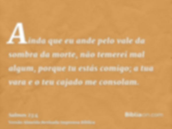 Ainda que eu ande pelo vale da sombra da morte, não temerei mal algum, porque tu estás comigo; a tua vara e o teu cajado me consolam.