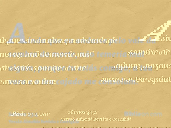 Ainda que eu andasse pelo vale da sombra da morte, não temeria mal algum, porque tu estás comigo; a tua vara e o teu cajado me consolam.