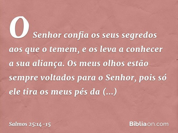 O Senhor confia os seus segredos
aos que o temem,
e os leva a conhecer a sua aliança. Os meus olhos estão sempre voltados
para o Senhor,
pois só ele tira os meu