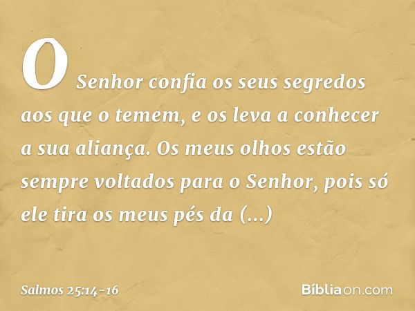 O Senhor confia os seus segredos
aos que o temem,
e os leva a conhecer a sua aliança. Os meus olhos estão sempre voltados
para o Senhor,
pois só ele tira os meu