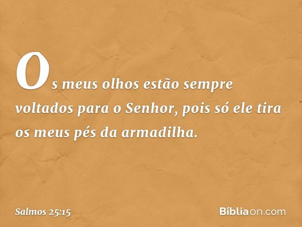 Os meus olhos estão sempre voltados
para o Senhor,
pois só ele tira os meus pés da armadilha. -- Salmo 25:15