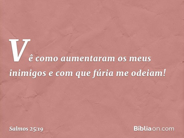 Vê como aumentaram os meus inimigos
e com que fúria me odeiam! -- Salmo 25:19