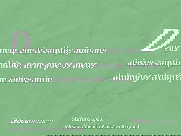 Deus meu, em ti confio; não me deixes confundido, nem que os meus inimigos triunfem sobre mim.