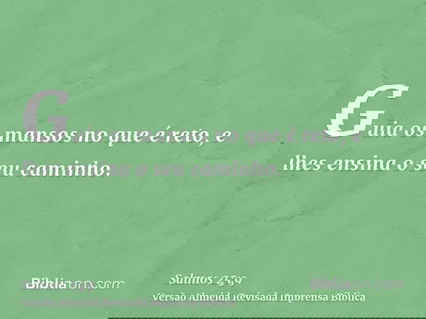 Guia os mansos no que é reto, e lhes ensina o seu caminho.