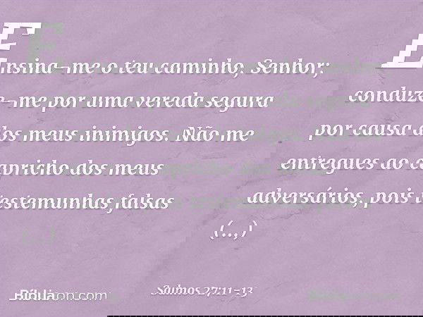 Ensina-me o teu caminho, Senhor;
conduze-me por uma vereda segura
por causa dos meus inimigos. Não me entregues
ao capricho dos meus adversários,
pois testemunh