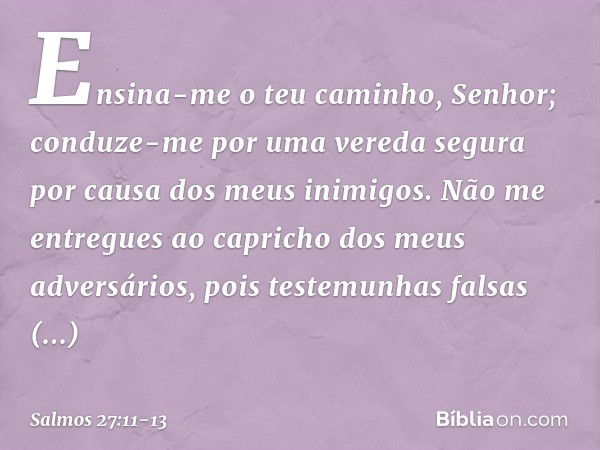 Ensina-me o teu caminho, Senhor;
conduze-me por uma vereda segura
por causa dos meus inimigos. Não me entregues
ao capricho dos meus adversários,
pois testemunh