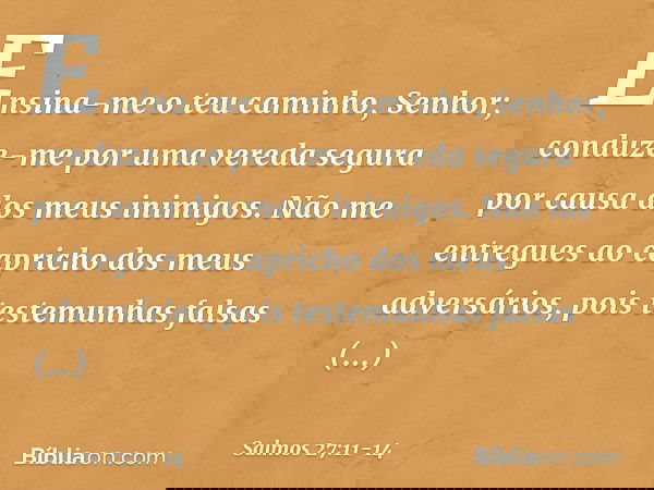 Ensina-me o teu caminho, Senhor;
conduze-me por uma vereda segura
por causa dos meus inimigos. Não me entregues
ao capricho dos meus adversários,
pois testemunh
