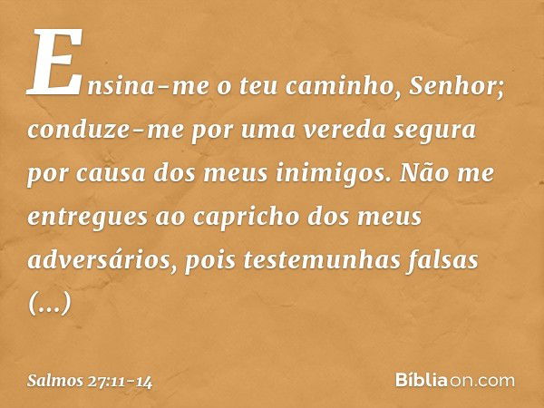 Ensina-me o teu caminho, Senhor;
conduze-me por uma vereda segura
por causa dos meus inimigos. Não me entregues
ao capricho dos meus adversários,
pois testemunh