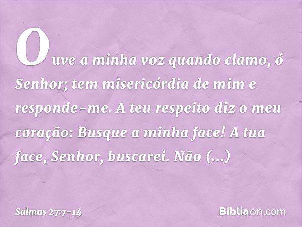 Ouve a minha voz quando clamo, ó Senhor;
tem misericórdia de mim e responde-me. A teu respeito diz o meu coração:
Busque a minha face!
A tua face, Senhor, busca