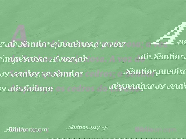 A voz do Senhor é poderosa;
a voz do Senhor é majestosa. A voz do Senhor quebra os cedros;
o Senhor despedaça os cedros do Líbano. -- Salmo 29:4-5