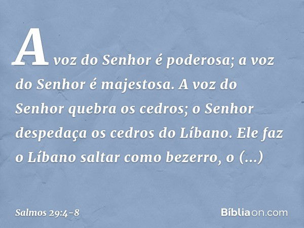 A voz do Senhor é poderosa;
a voz do Senhor é majestosa. A voz do Senhor quebra os cedros;
o Senhor despedaça os cedros do Líbano. Ele faz o Líbano saltar como 