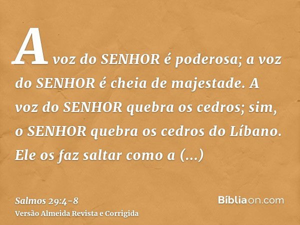 A voz do SENHOR é poderosa; a voz do SENHOR é cheia de majestade.A voz do SENHOR quebra os cedros; sim, o SENHOR quebra os cedros do Líbano.Ele os faz saltar co