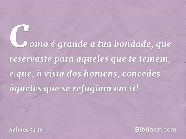 Como é grande a tua bondade,
que reservaste para aqueles que te temem,
e que, à vista dos homens,
concedes àqueles que se refugiam em ti! -- Salmo 31:19