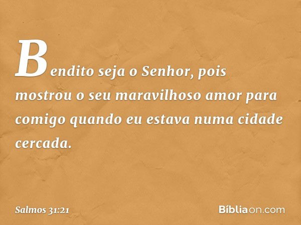 Bendito seja o Senhor,
pois mostrou o seu maravilhoso amor
para comigo
quando eu estava numa cidade cercada. -- Salmo 31:21