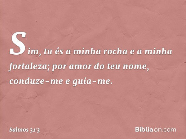 Sim, tu és a minha rocha e a minha fortaleza;
por amor do teu nome, conduze-me e guia-me. -- Salmo 31:3