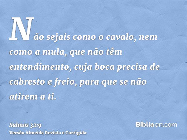 Essa aqui NÃO é Panc!! É o arrebenta cavalo, mata burro, gigoia