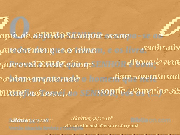 O anjo do SENHOR acampa-se ao redor dos que o temem, e os livra.Provai e vede que o SENHOR é bom; bem-aventurado o homem que nele confia.Temei ao SENHOR, vós os