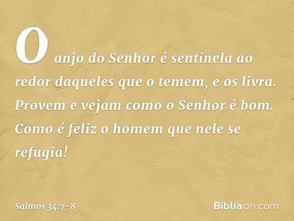 O anjo do Senhor é sentinela ao redor
daqueles que o temem,
e os livra. Provem e vejam como o Senhor é bom.
Como é feliz o homem que nele se refugia! -- Salmo 3