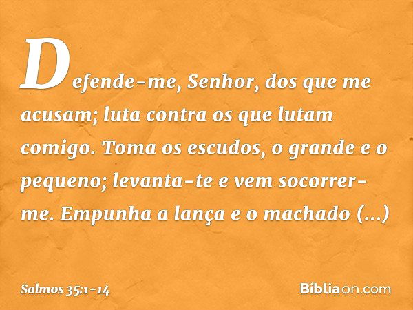 Defende-me, Senhor, dos que me acusam;
luta contra os que lutam comigo. Toma os escudos, o grande e o pequeno;
levanta-te e vem socorrer-me. Empunha a lança e o