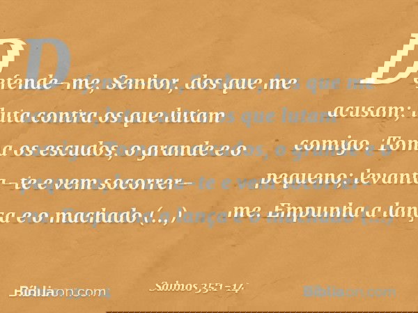 Defende-me, Senhor, dos que me acusam;
luta contra os que lutam comigo. Toma os escudos, o grande e o pequeno;
levanta-te e vem socorrer-me. Empunha a lança e o