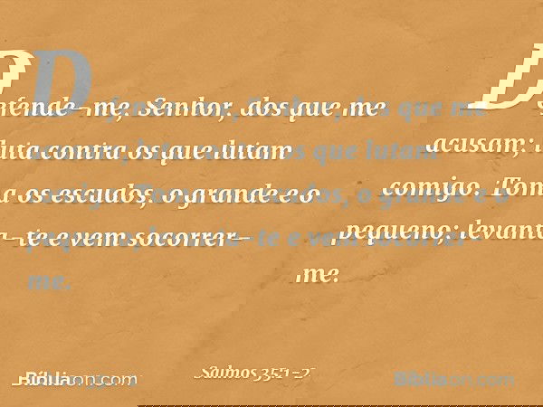 Defende-me, Senhor, dos que me acusam;
luta contra os que lutam comigo. Toma os escudos, o grande e o pequeno;
levanta-te e vem socorrer-me. -- Salmo 35:1-2
