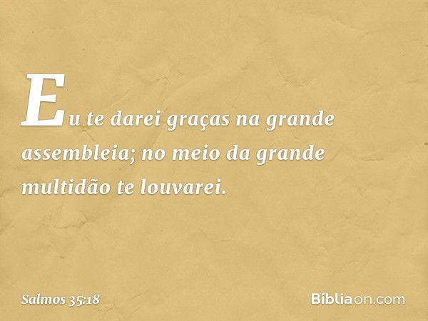 Eu te darei graças na grande assembleia;
no meio da grande multidão te louvarei. -- Salmo 35:18