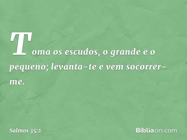 Toma os escudos, o grande e o pequeno;
levanta-te e vem socorrer-me. -- Salmo 35:2