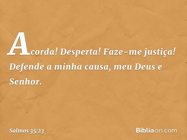 Acorda! Desperta! Faze-me justiça!
Defende a minha causa, meu Deus e Senhor. -- Salmo 35:23