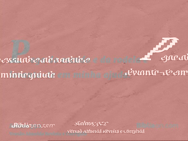 Pega do escudo e da rodela e levanta-te em minha ajuda.
